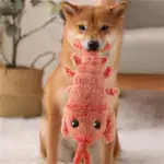 Floppy Lobster - Interactive Dog Toy - Image 2