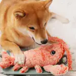 Floppy Lobster - Interactive Dog Toy - Image 3