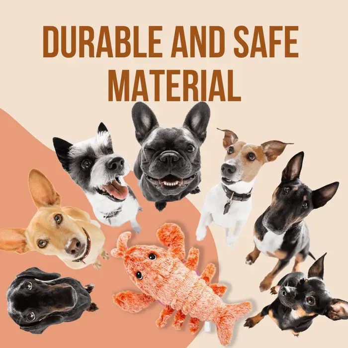 Safe Materials