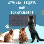 Cat Scratching Pad - Image 4