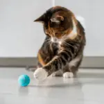 Treat Your Kitty To The Electric Ball Cat Toy - Image 3