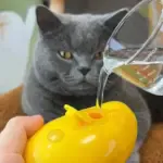 Steamy Pet Brush - Image 3