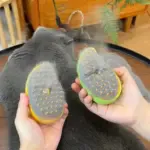 Steamy Pet Brush - Image 6