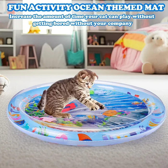 Cat playing with toy
