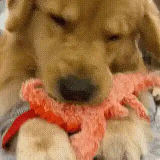 Lobster toy motion sensor