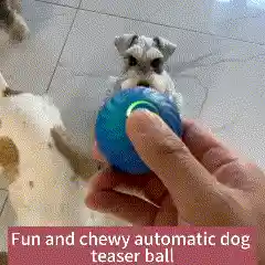 Interactive pet toy in action