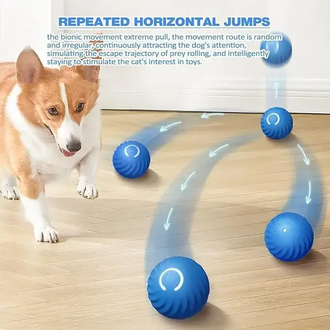 Pet playing with toy