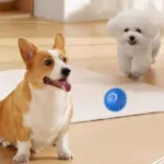 Automatic Smart Teasing Dog Ball - Image 2