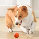 Automatic Smart Teasing Dog Ball - Image 6