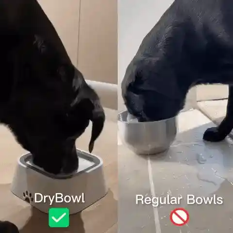 DryBowl in action