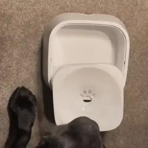 DryBowl cleaning process