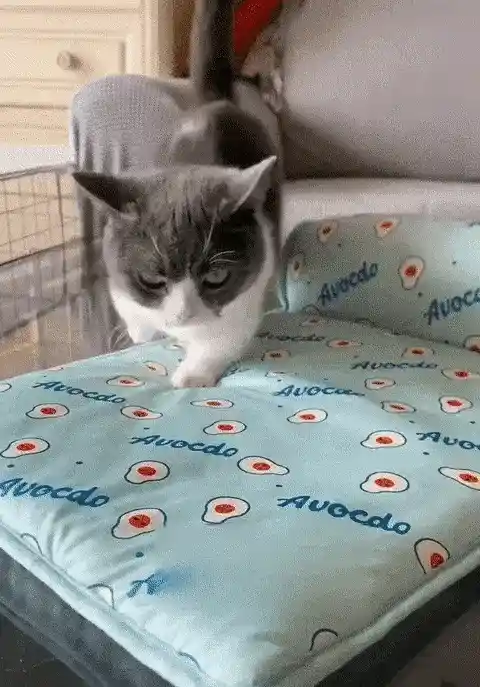 Cooling Pet Mat