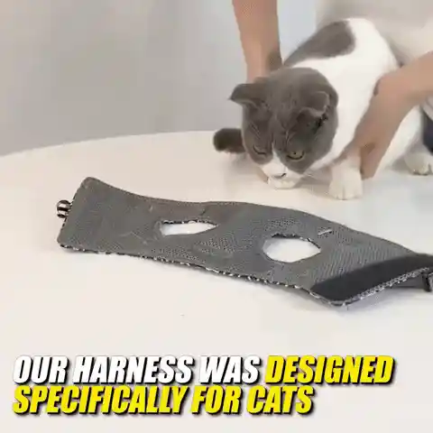 Unique gift idea