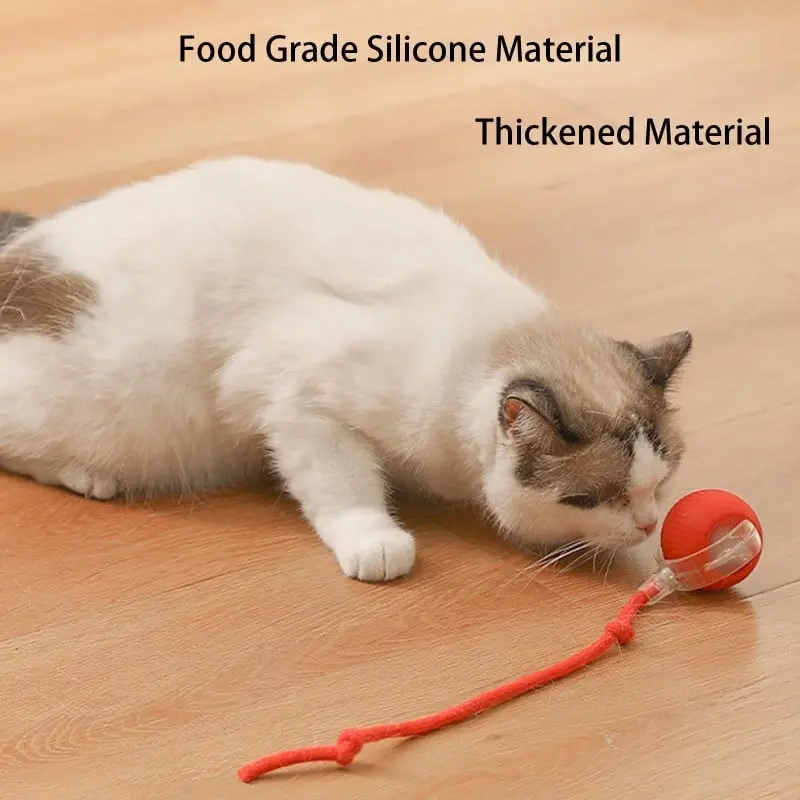 Durable Pet-Friendly Material