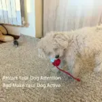 Smart Interactive Pet Toy Ball - Image 2