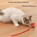 Smart Interactive Pet Toy Ball - Image 4