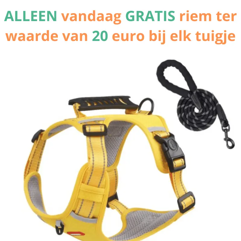 Dog harness product image