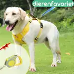 Reflective Dog Walking Rope Pet Supplies - Image 5