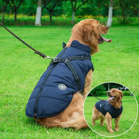 Pet coat with reflective harness