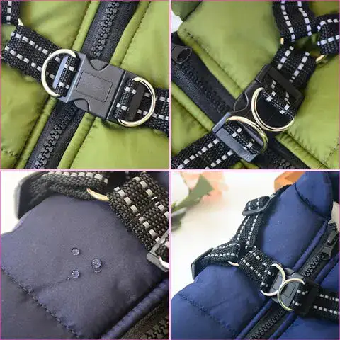Pet coat close-up