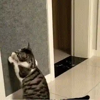 Cat scratching mat