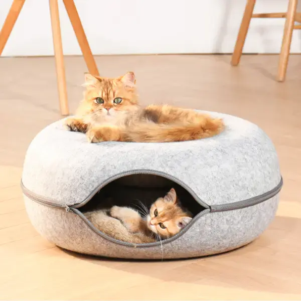 Donut Design