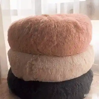 Pet Bed GIF