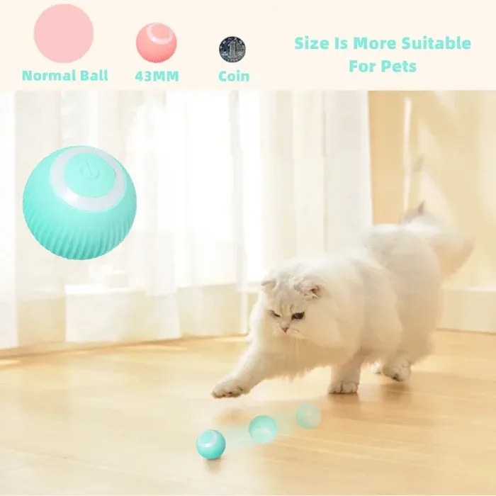 Cat Toy Design