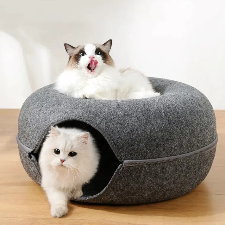 Cat Playtime
