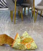 Cat Tunnel Bag with toys