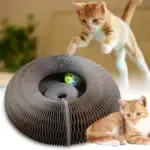 Magic Organ Cat Toy - Image 3