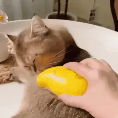 Brush in use