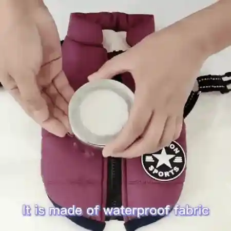Pet coat in action