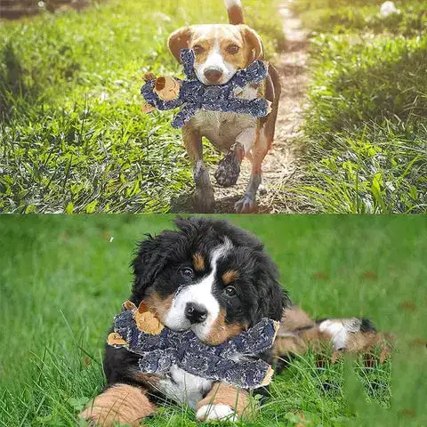 Bear-shaped dog toy