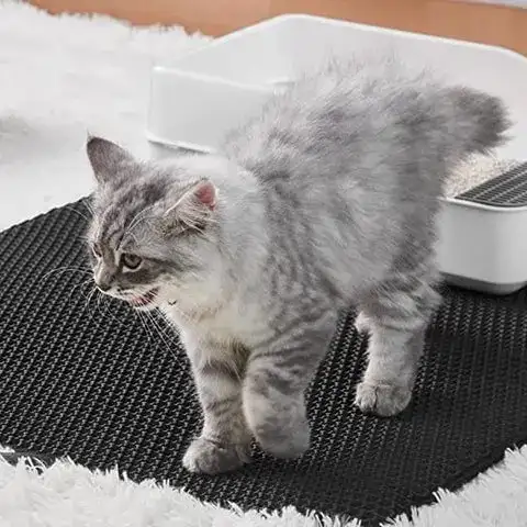 Easy-to-Clean Litter Mat