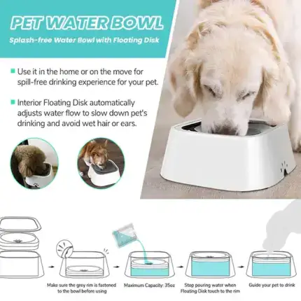 Bowl Water Pet