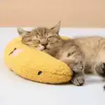 Cat Lovely Cozy Pillow