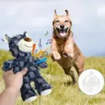 Plush Toy - Robust Bear for Aggressive Chewers