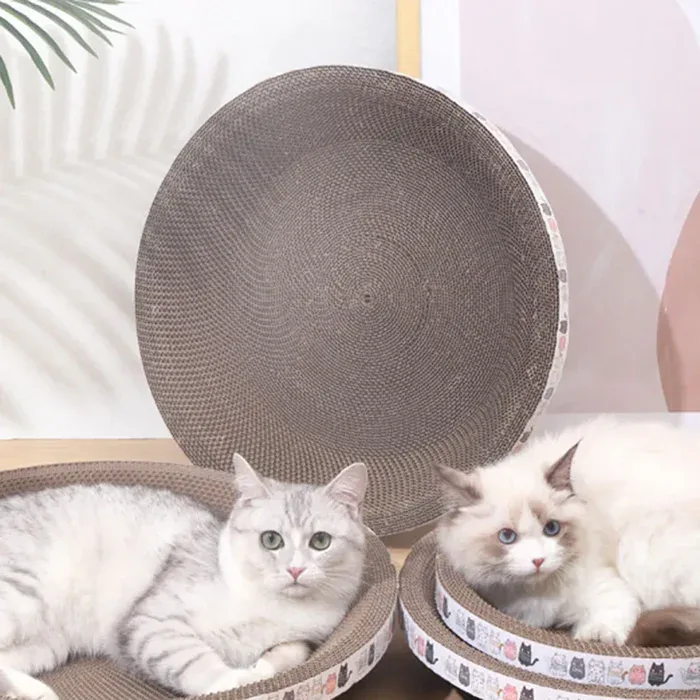 Cat scratching Cardboard Paradise