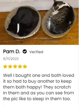 More customer feedback