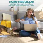 Intelligent Playful Collar for Kittens
