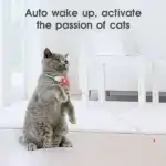 Intelligent Playful Collar for Kittens