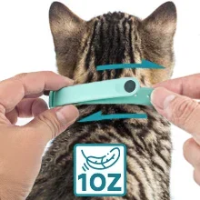 Comfortable collar for cats