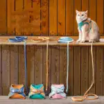 Luminous Cat Vest Harness and Leash Set