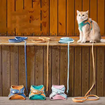 Luminous Cat Vest Harness and Leash Set