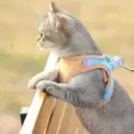 Luminous Cat Vest Harness and Leash Set
