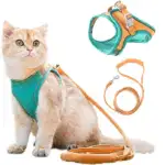 Luminous Cat Vest Harness and Leash Set