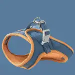Luminous Cat Vest Harness and Leash Set