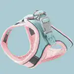 Luminous Cat Vest Harness and Leash Set