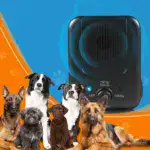 Ultrasonic Dog Barking Control Device